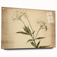 Vintage Botanical Art Prints – Elegant Flower Illustration