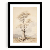 Vintage Botanical Art Prints – Solitary Tree Illustration