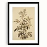 Vintage Botanical Art Prints – Detailed Plant Illustration
