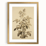 Vintage Botanical Art Prints – Detailed Plant Illustration