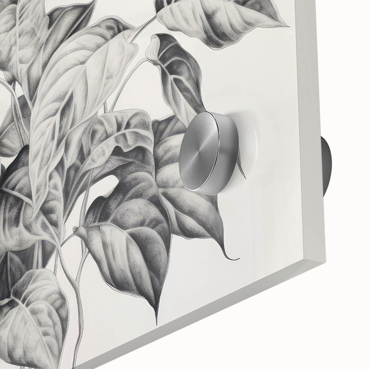 Vintage Botanical Art Prints - Black and White Plant Illustration