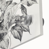 Vintage Botanical Art Prints - Black and White Plant Illustration