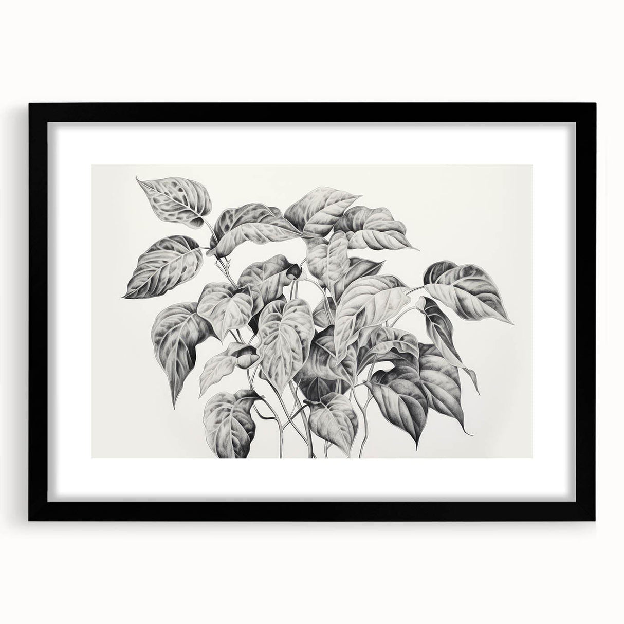 Vintage Botanical Art Prints - Black and White Plant Illustration