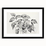 Vintage Botanical Art Prints - Black and White Plant Illustration