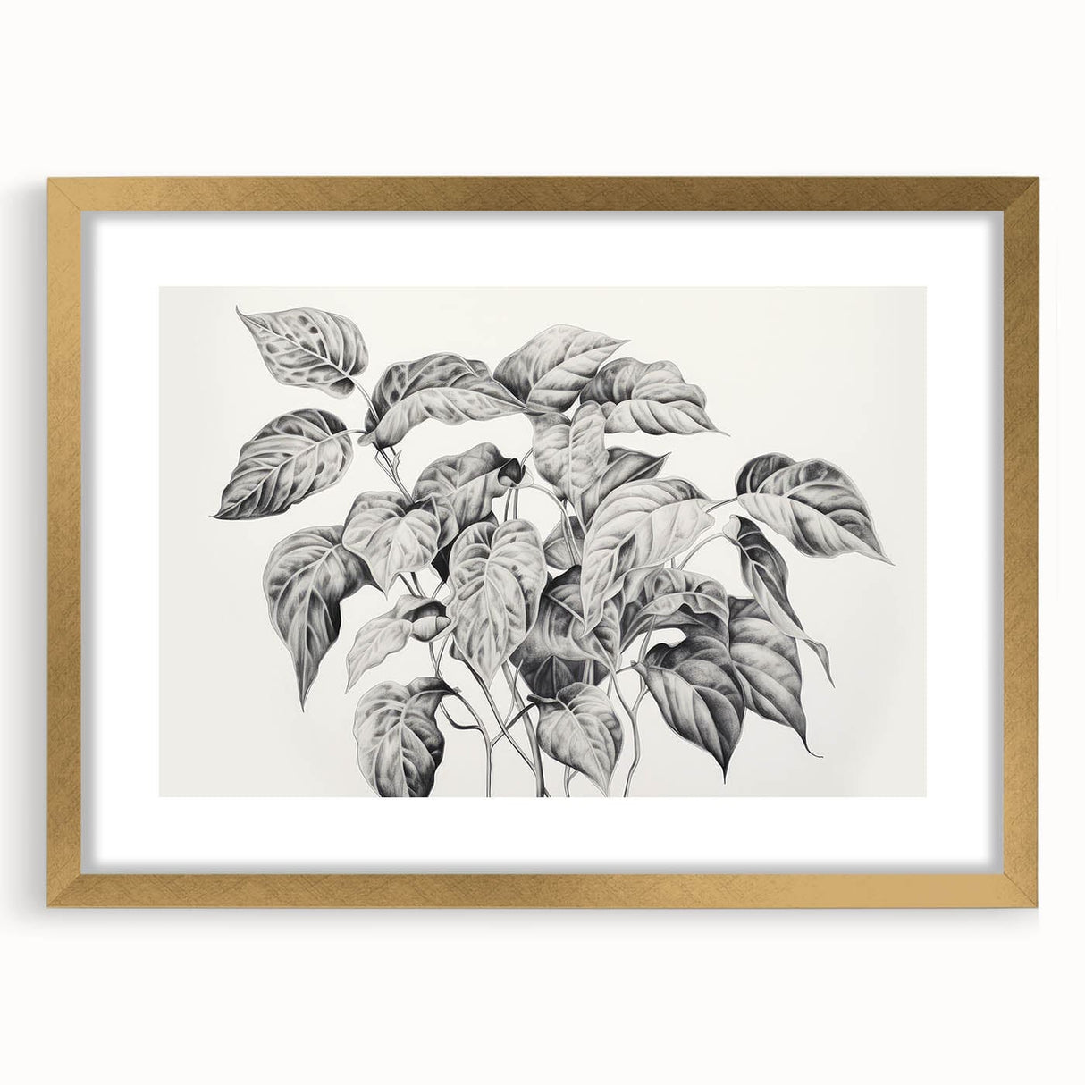 Vintage Botanical Art Prints - Black and White Plant Illustration