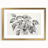 Vintage Botanical Art Prints - Black and White Plant Illustration