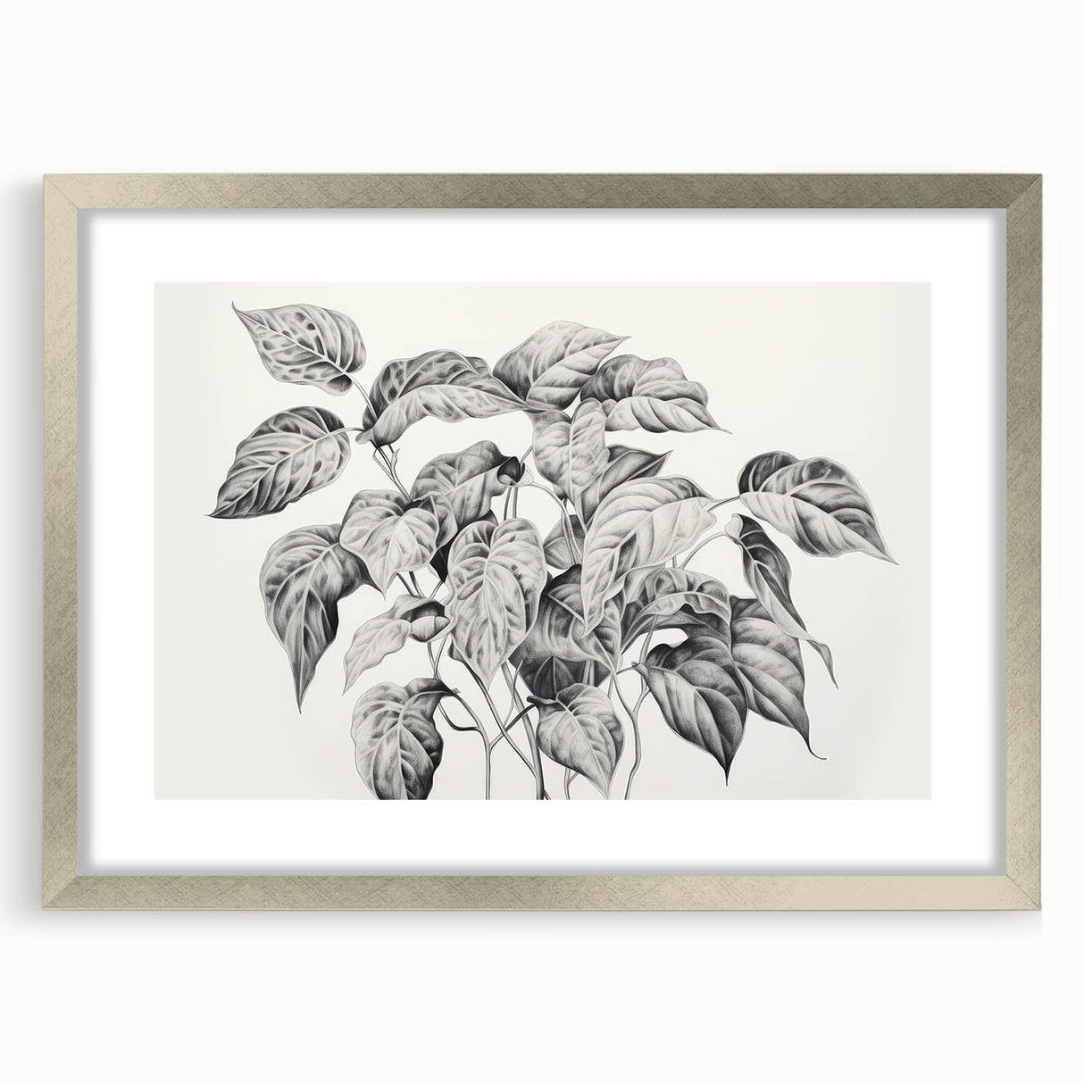 Vintage Botanical Art Prints - Black and White Plant Illustration