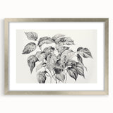 Vintage Botanical Art Prints - Black and White Plant Illustration