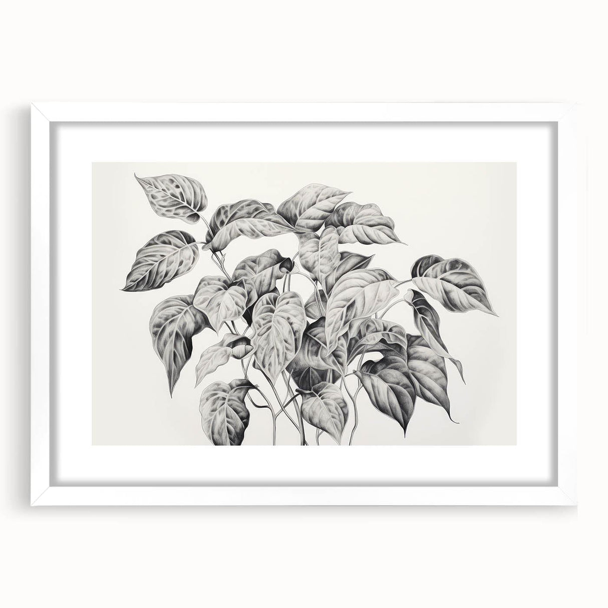 Vintage Botanical Art Prints - Black and White Plant Illustration