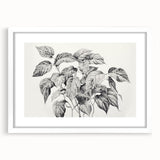 Vintage Botanical Art Prints - Black and White Plant Illustration