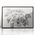 Vintage Botanical Art Prints - Black and White Plant Illustration