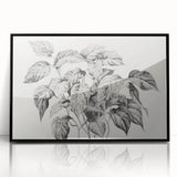 Vintage Botanical Art Prints - Black and White Plant Illustration