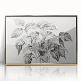 Vintage Botanical Art Prints - Black and White Plant Illustration