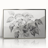 Vintage Botanical Art Prints - Black and White Plant Illustration