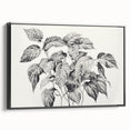 Vintage Botanical Art Prints - Black and White Plant Illustration