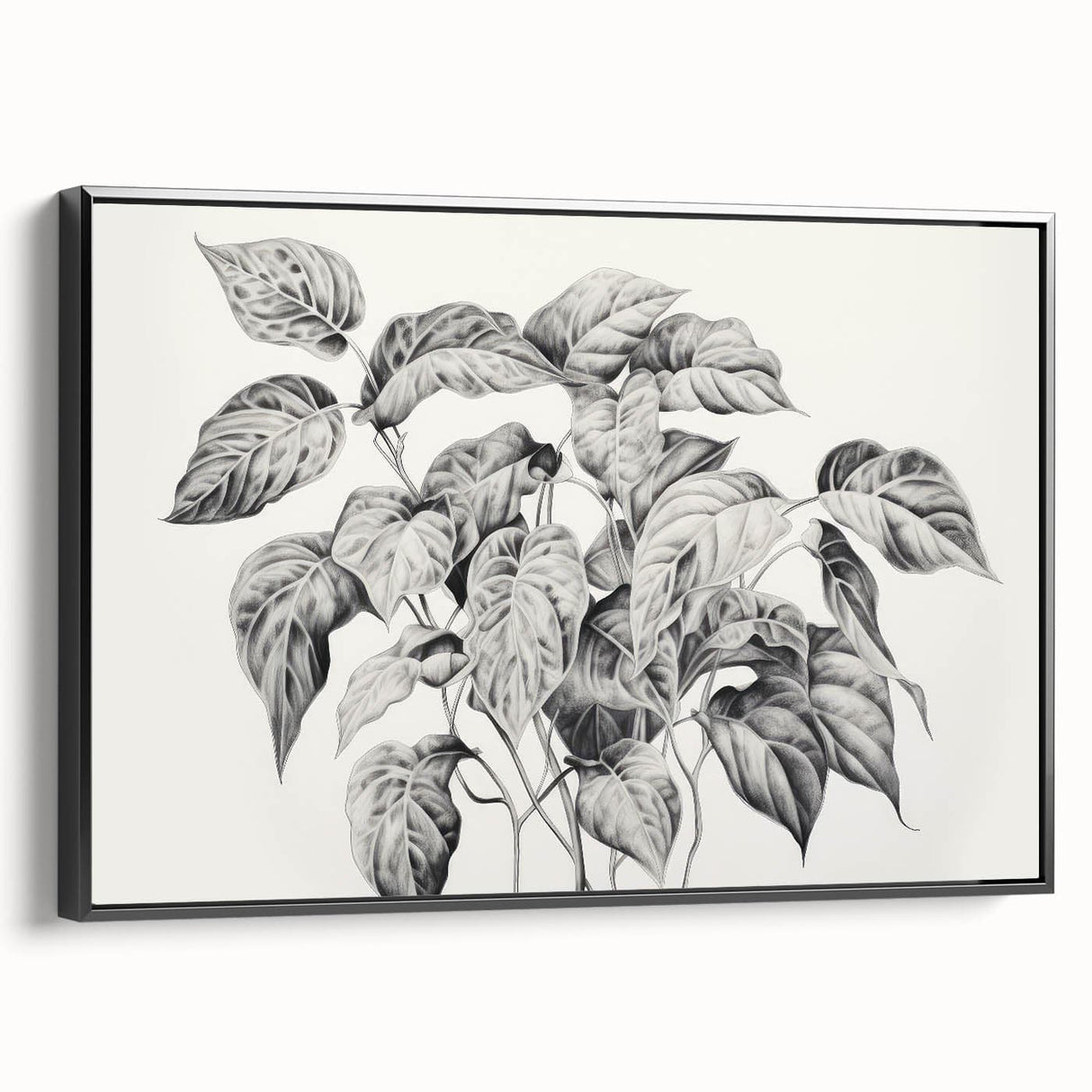 Vintage Botanical Art Prints - Black and White Plant Illustration