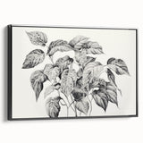 Vintage Botanical Art Prints - Black and White Plant Illustration