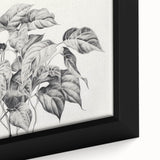 Vintage Botanical Art Prints - Black and White Plant Illustration