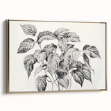 Vintage Botanical Art Prints - Black and White Plant Illustration