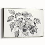 Vintage Botanical Art Prints - Black and White Plant Illustration