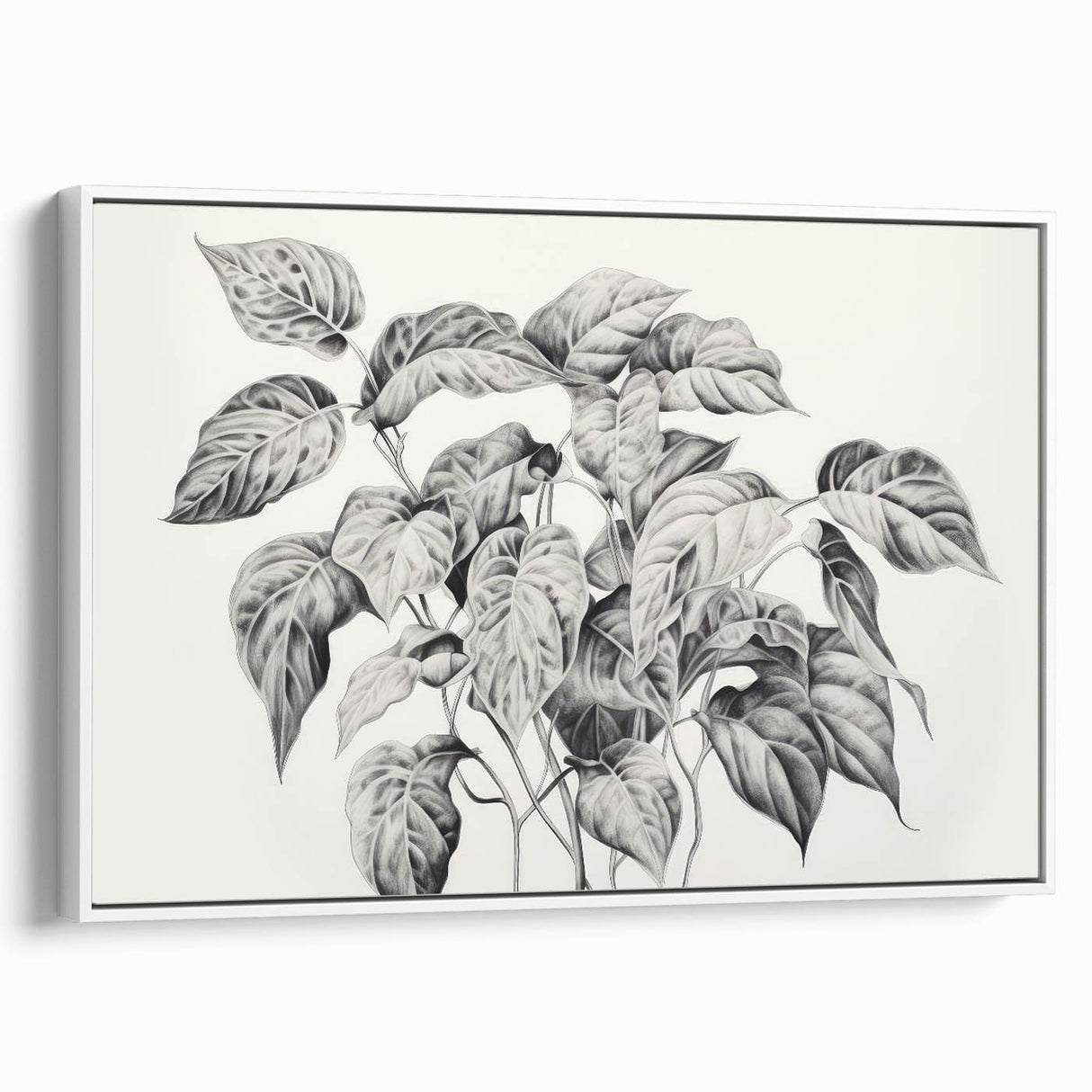 Vintage Botanical Art Prints - Black and White Plant Illustration