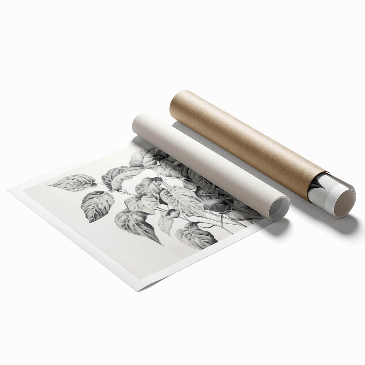 Vintage Botanical Art Prints - Black and White Plant Illustration