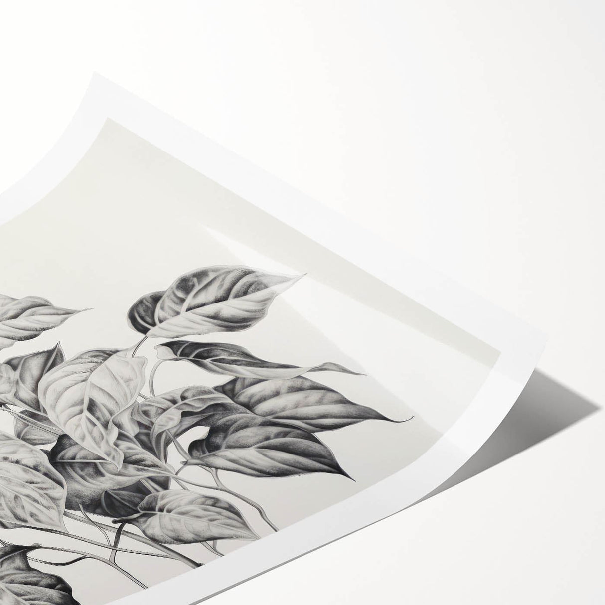 Vintage Botanical Art Prints - Black and White Plant Illustration