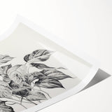 Vintage Botanical Art Prints - Black and White Plant Illustration