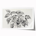 Vintage Botanical Art Prints - Black and White Plant Illustration