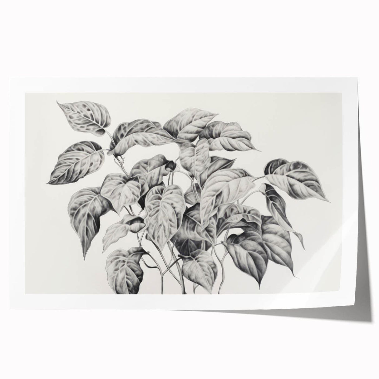 Vintage Botanical Art Prints - Black and White Plant Illustration
