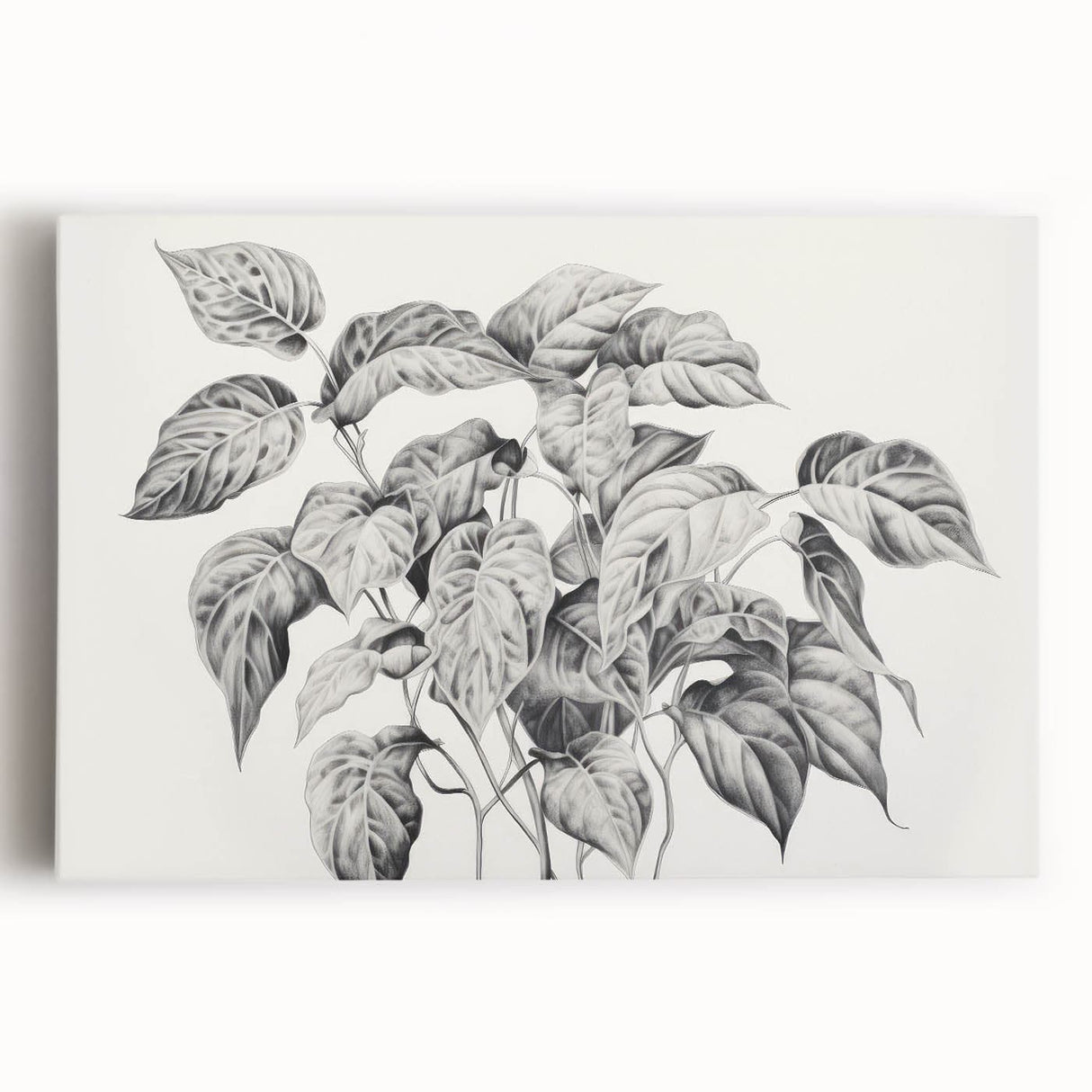Vintage Botanical Art Prints - Black and White Plant Illustration
