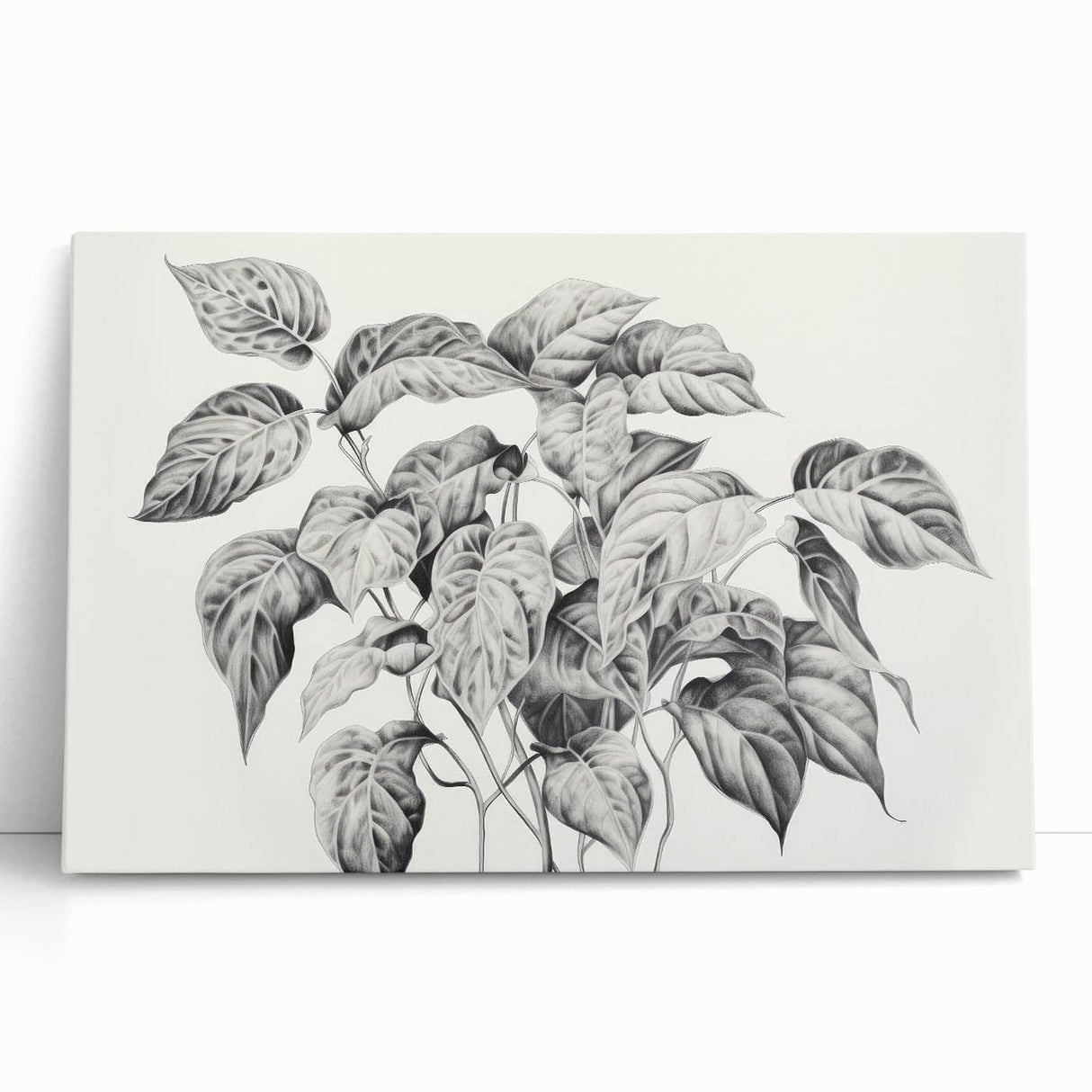 Vintage Botanical Art Prints - Black and White Plant Illustration