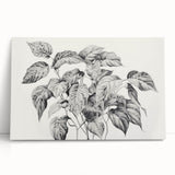 Vintage Botanical Art Prints - Black and White Plant Illustration