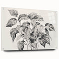 Vintage Botanical Art Prints - Black and White Plant Illustration