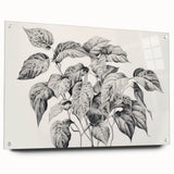 Vintage Botanical Art Prints - Black and White Plant Illustration