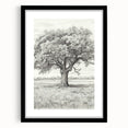 Vintage Oak Tree Sketch Art – Classic Monochrome Nature Print