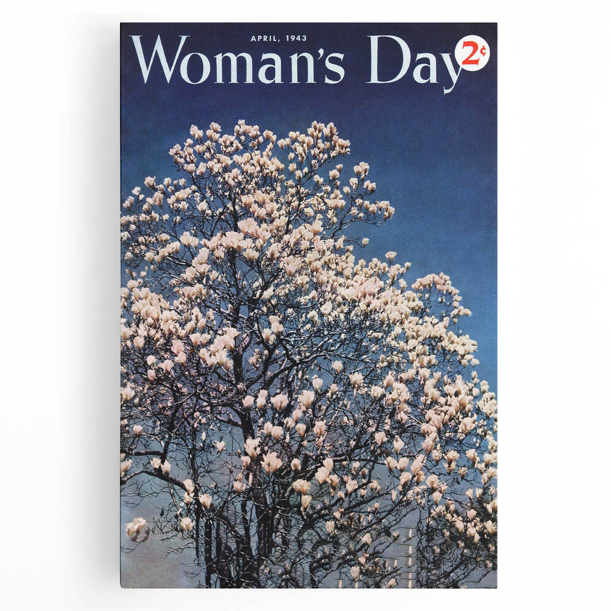 Vintage Magazine Cover Art – Woman’s Day Floral Spring Print