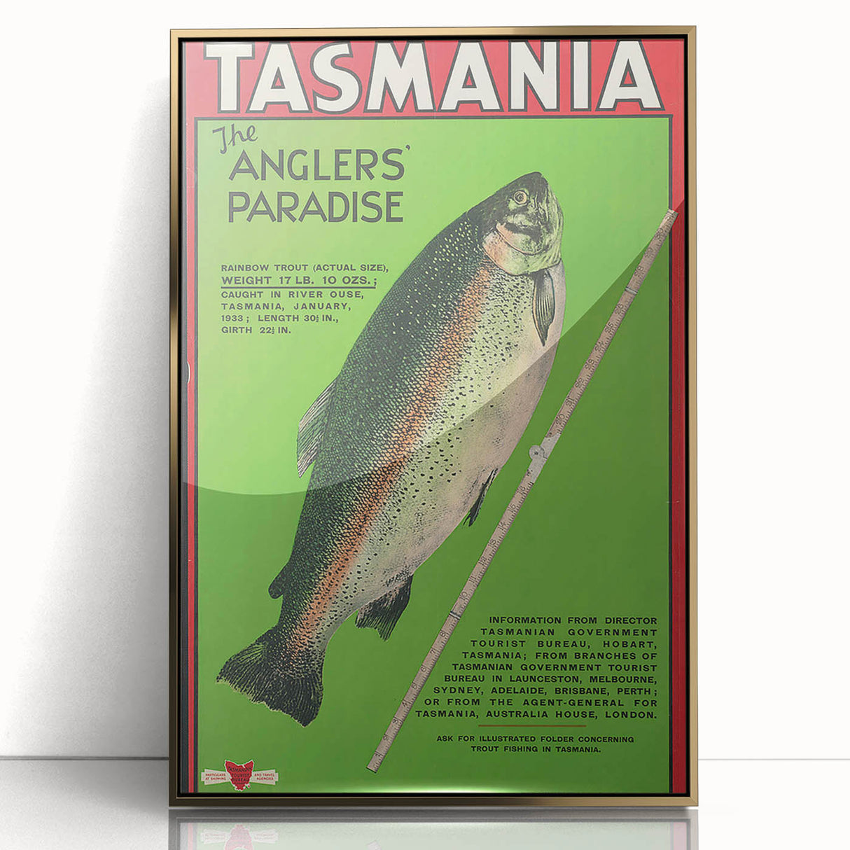 Vintage Tasmania Fishing Poster – Retro Angler’s Paradise Art