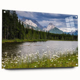 Acrylic wall art collection featuring a vibrant wildflower design, displayed in a side view with decorative pins. Perfect for brightening modern interior spaces.