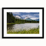 Black-framed wall art featuring a vibrant wildflower design, showcasing intricate details and colors, ideal for home decor or gallery display.