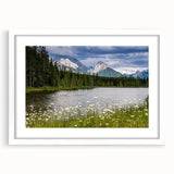 Framed wall art collection showcasing vibrant wildflower designs in a white mat, perfect for home decor. Ideal for nature enthusiasts and art lovers.